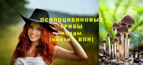 соль ск Навашино