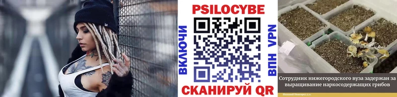 Купить  Нюрба  Галлюциногенные грибы ЛСД 