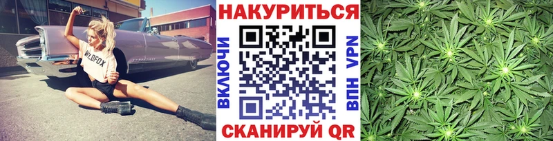 Купить где  Нюрба  Конопля White Widow 
